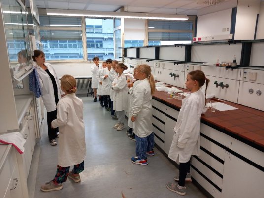 Die Klasse 3a besucht das Fehling Labor an der Universität in Stuttgart